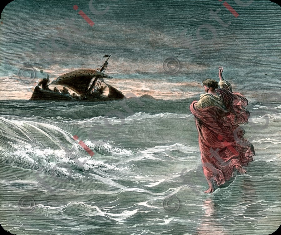 Vorschau simon-dore-183-021.jpg